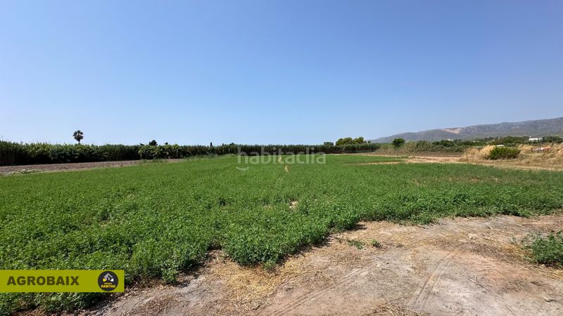Foto d0dceaf7-2e93-4880-9e37-92764a516c98. Finca rústica a lloc raurell 37b a Gava Mar Gavà