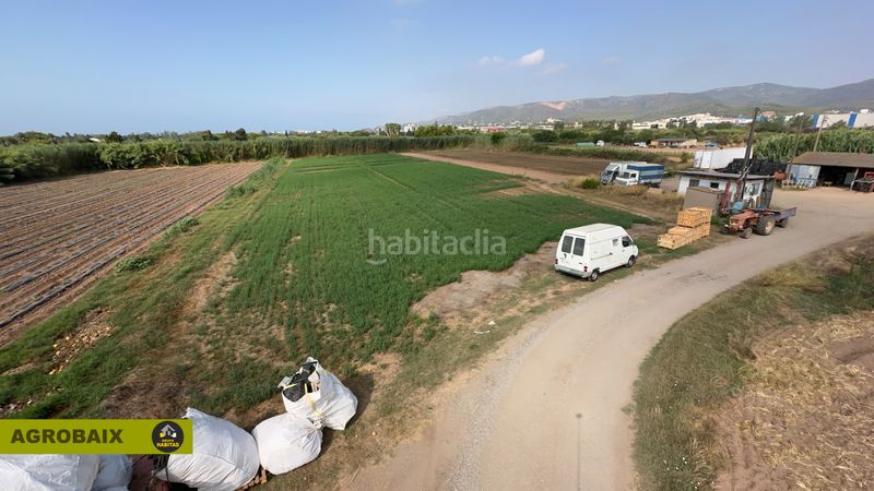 Foto e5ae9a94-ea06-4d5c-9ab6-567550d6b020. Finca rústica a lloc raurell 37b a Gava Mar Gavà