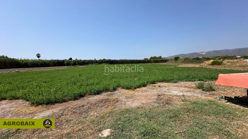 Foto e886334e-02f4-4a6b-a15c-e73c4ac96d61. Finca rústica a lloc raurell 37b a Gava Mar Gavà