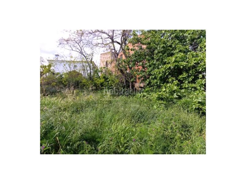 Foto f3f365e3-c8ce-46a9-89ab-ae1c2b7215e5. Terreno residenziale in Pinemar Pineda de Mar