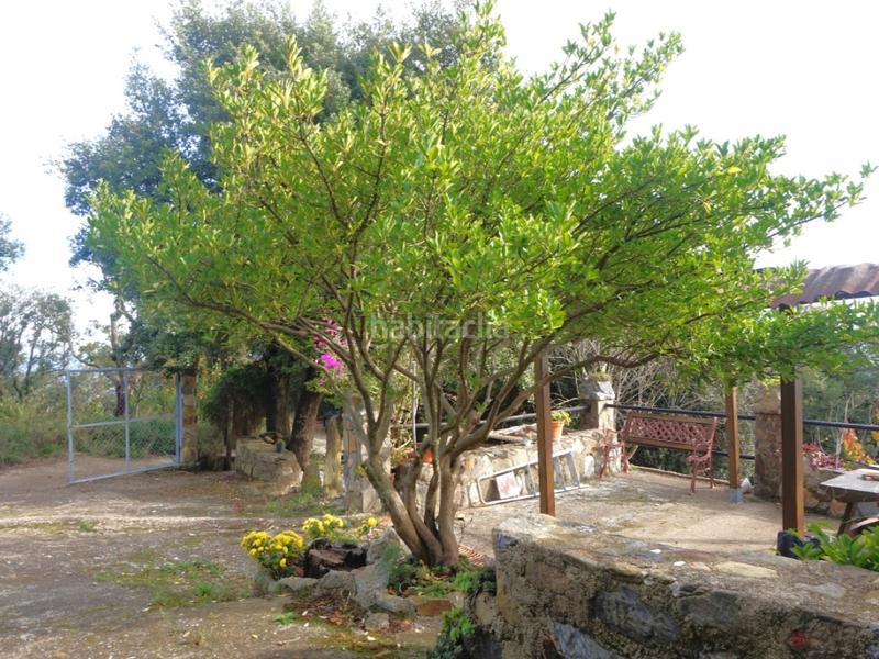 Foto 2efd293f-84b8-4c42-9664-423b44b9a8ca. Maison dans Pinemar Pineda de Mar