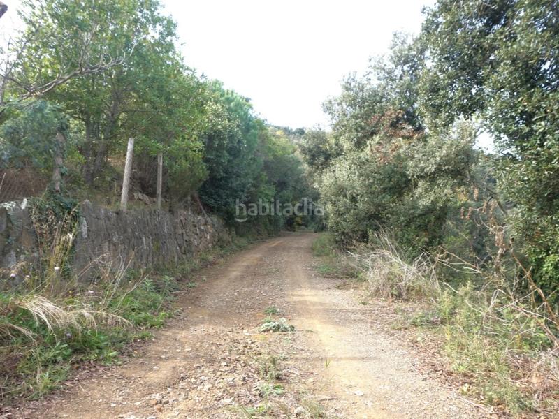 Foto 6b9d96a3-3b7b-428b-b2e2-42004c754cfd. Maison dans Pinemar Pineda de Mar