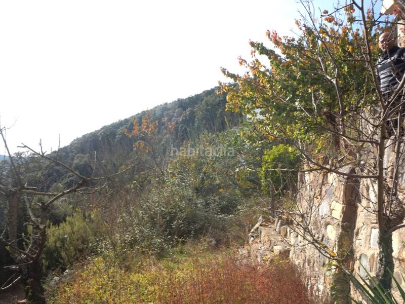 Foto 9bbe2371-9cba-4d98-8d8a-fd0fb0a2096b. Maison dans Pinemar Pineda de Mar