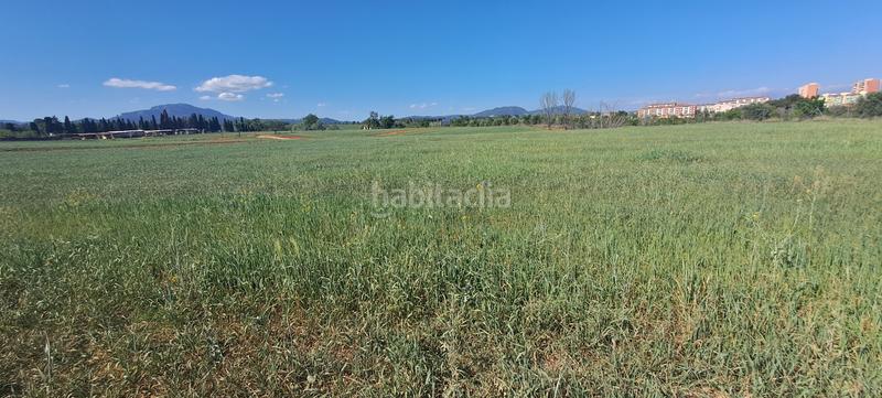 Foto 584a3545-bb69-440b-b03c-e16fb8edcfae. Alquiler finca rústica en camí mas canals 189 se alquila finca rustica,agricola en Sabadell