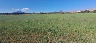 Location Propriété à Camí mas canals 189. Se alquila finca rustica,agricola sabadell