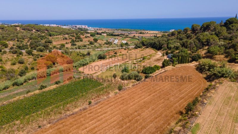 Foto 58a9854b-db83-4c6b-889c-68476118197b. Casa a Cinc Sènies Mataró