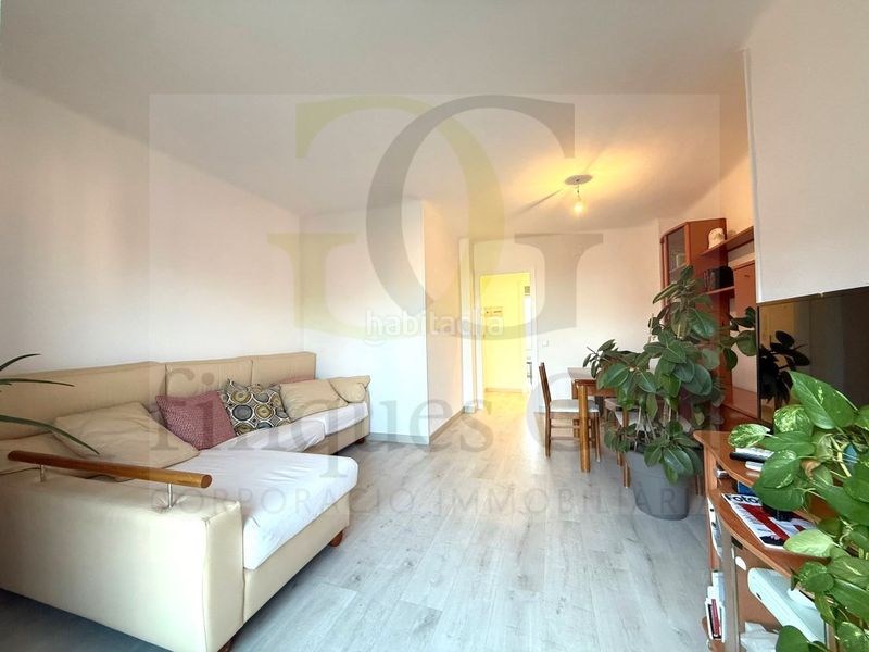 Foto a8a3d05a-407c-412e-a01e-db56058d1bf9. Pis a Santpedor