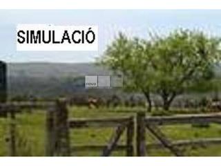 Industrial plot in Gurb. Solares en venta