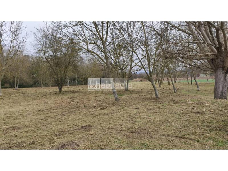 Foto d3be3e09-435c-43dc-89f3-c1a7ae0941a5. Terreny residencial a Tona