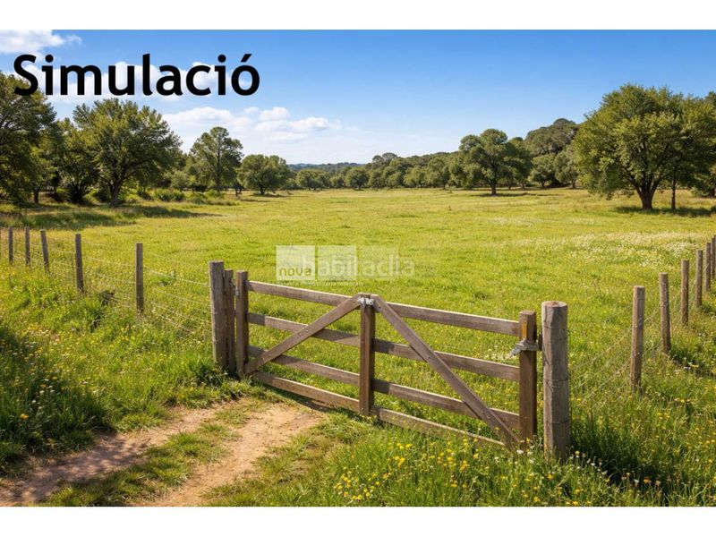 Foto ce28476c-356a-4b22-ac45-6c72f8c1802a. Finca rústica a Tona