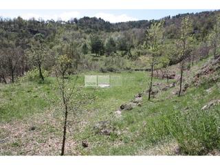 Solar industrial a Muntanyola. Terreno en venta en muntanyola