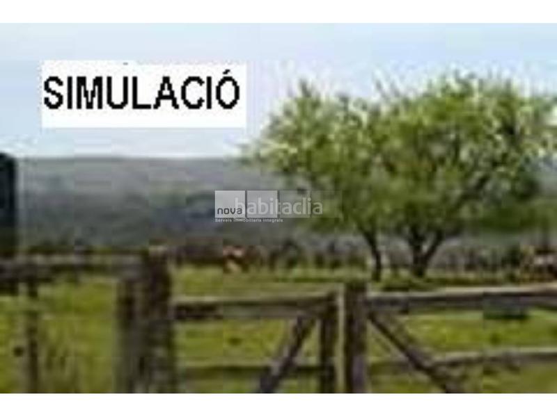 Foto f78f7b17-bb57-40e6-8262-bf6173f645e7. Residential plot in Balenyà