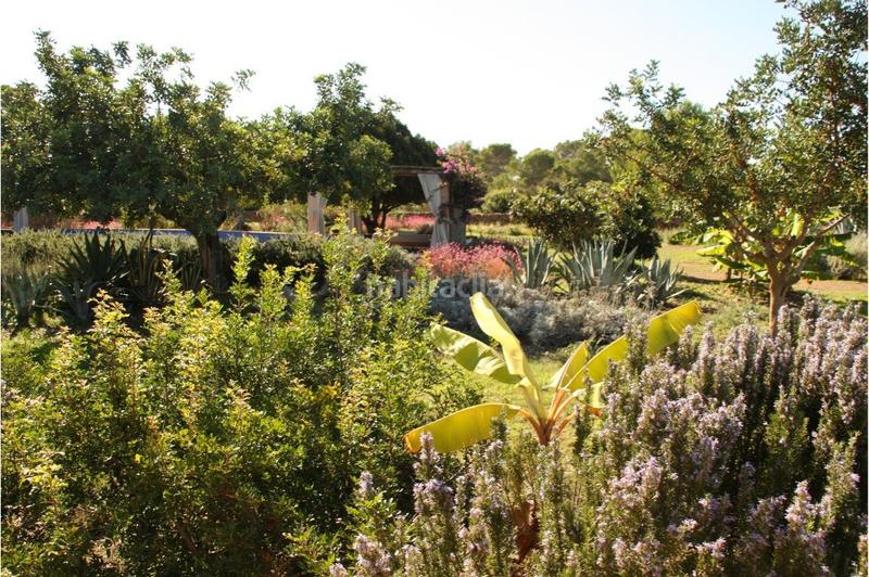 Foto 1db9f9b2-3483-47c2-a7ef-5816db9dbaba. Masia amb xemeneia aparcament piscina a Formentera