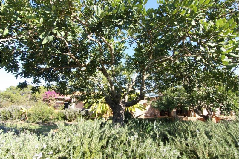 Foto 46ba2ed8-c16c-4ca3-a73a-7e85b4c42231. Masia amb xemeneia aparcament piscina a Formentera