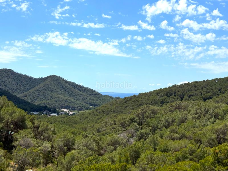Foto a5c34916-1670-40bf-b620-ebb453533829. Àtic amb xemeneia calefacció piscina a Santa Eulària des riu Santa Eulària