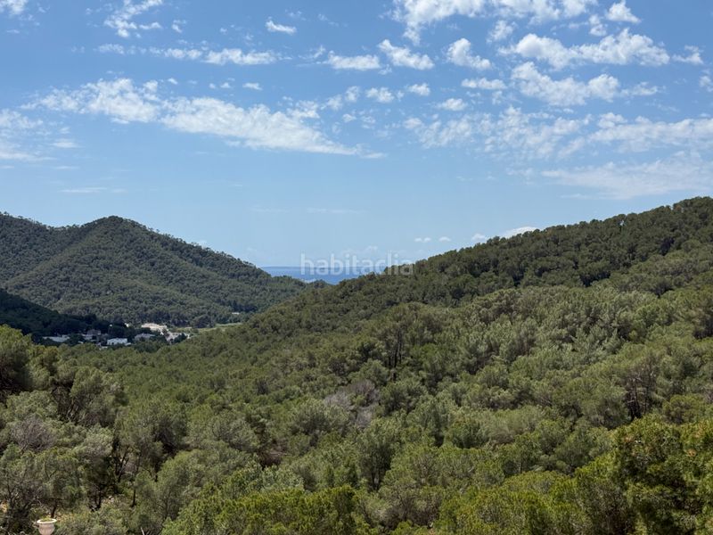 Foto beaf877b-5dfd-4818-89a1-45f43cf9b7be. Àtic amb xemeneia calefacció piscina a Santa Eulària des riu Santa Eulària