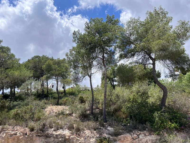 Foto fa18f85a-5ea0-4b56-a48d-3284e4a562b3. Terreny residencial a Can Furnet Santa Eulària