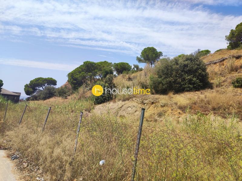 Foto 0ac781cf-b939-4c71-acd9-66227084a15d. Terrain industriel dans calle rial del sapi 20 dans Arenys de Mar