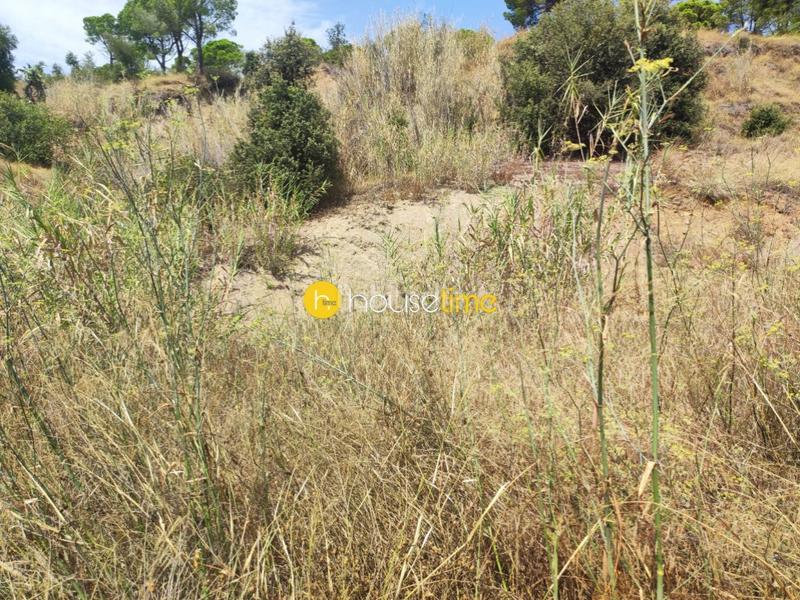 Foto 0da4dadb-b518-4ac7-9fc9-801953b07897. Terrain industriel dans calle rial del sapi 20 dans Arenys de Mar