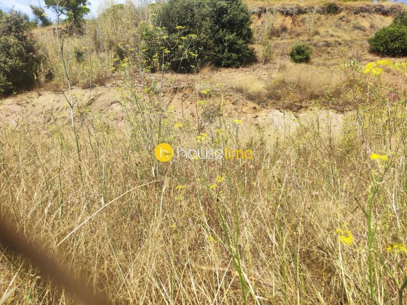 Foto 6803b931-4ae5-4606-aaf9-e7bc3647998a. Terrain industriel dans calle rial del sapi 20 dans Arenys de Mar