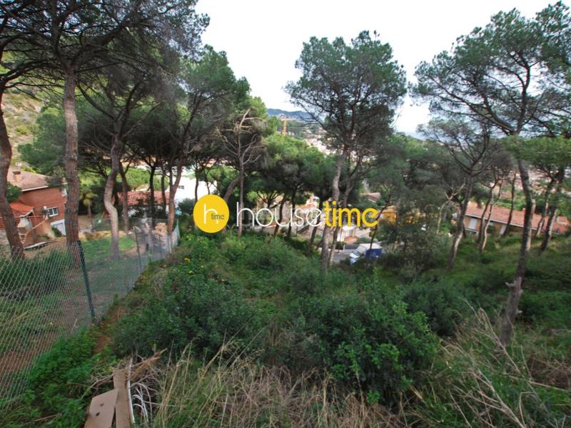 Foto 5c316037-cb03-4475-8671-0addab5126f1. Terreno residencial terreno unico con proyecto en Premià de Dalt