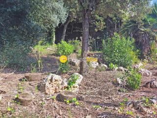 Wohngrundstück in Masnou Alt. Terreno soleado llano para construir una vivienda.