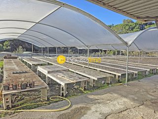 Finca rústica a Sant Cebrià de Vallalta. Suelo rustico con agua y luz ideal para viña o actividad agrícol