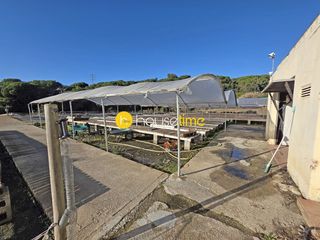 Landgut in Sant Cebrià de Vallalta. Terreno rustico con agua y luz muy soleado ideal para viña o act