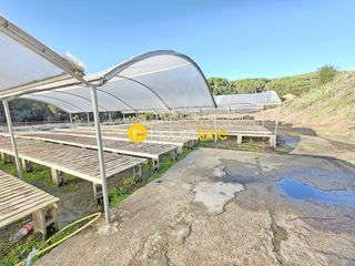 Landgut in Sant Cebrià de Vallalta. Terreno rustico con agua y luz muy soleado ideal para viña o act