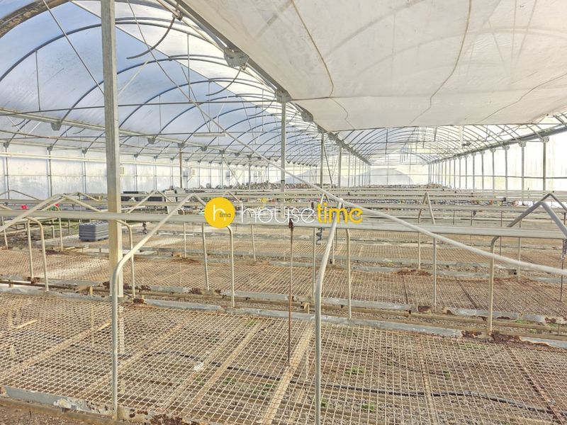 Foto 3802f647-d9ca-4ce1-8936-a7ff3b6de60a. Finca rústica a Sant Cebrià de Vallalta