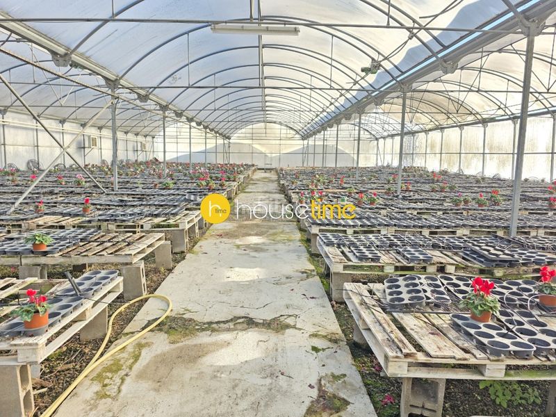 Foto c1539e9a-319b-43f1-a4d9-50b65ac68d2d. Finca rústica a Sant Cebrià de Vallalta