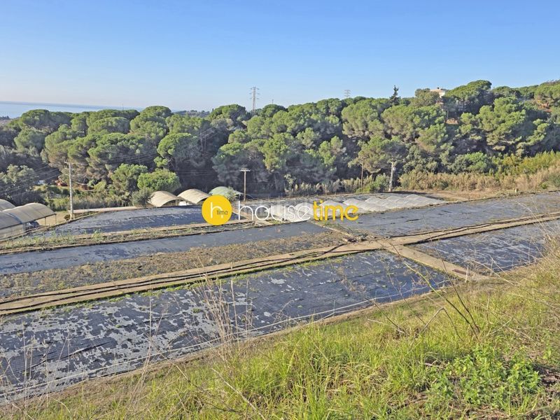 Foto e86f72d1-6123-4cf2-add9-31652e0ae79e. Finca rústica a Sant Cebrià de Vallalta