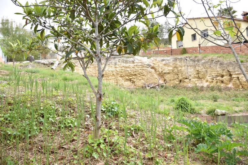 Foto 1e32cb30-cbf8-481b-b599-9f265f288799. Terreno residenziale in Bellvei