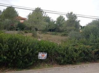 Terreny residencial a Torre dels escipions 105. Solar en venta  segur de dalt segur de calafell
