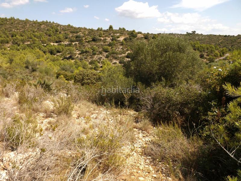 Foto b8e9d624-7b20-40d1-a151-0330ad13ed9b. Wohngrundstück in carrer boi 77 in Segur de dalt Segur de Calafell