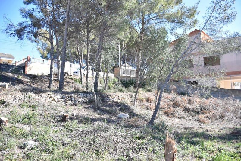 Foto 39f962a8-bb17-4a56-93ea-2f3ebbcbf365. Terreno residenziale in Bellvei