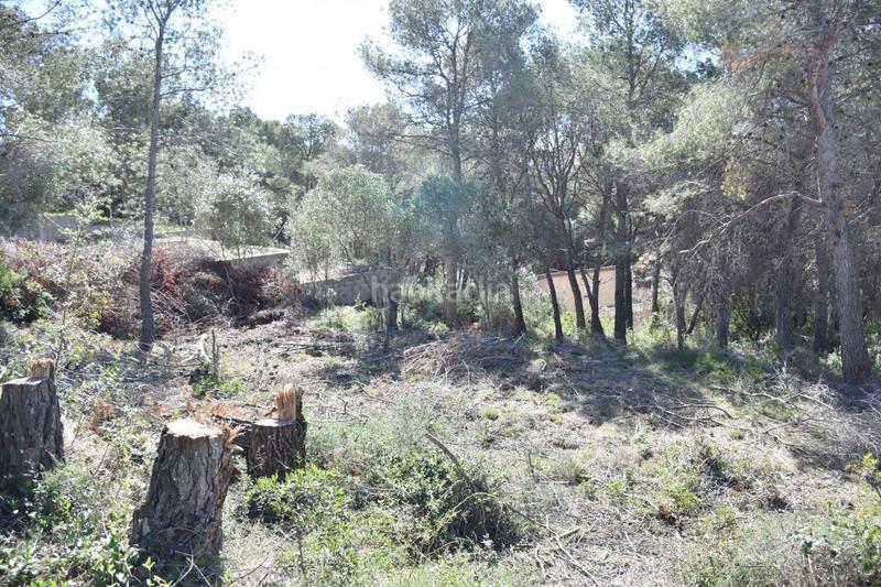 Foto 4eaa44f0-53b5-4ee5-a948-bfe4046f0c18. Terreno residenziale in Bellvei