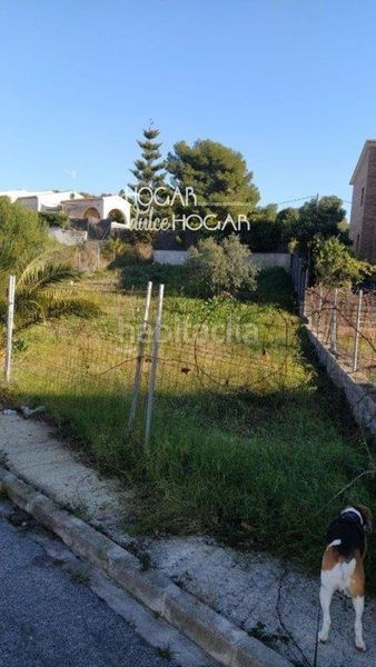 Foto 5a11b274-ada6-4eec-a571-657a88670fe3. Finca rústica a La Franquesa-Oasis Park Vendrell (El)