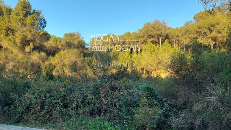 Foto 6c14a2b6-e9f6-4605-8419-a8111dc0b01f. Finca rústica a Calafell poble Calafell