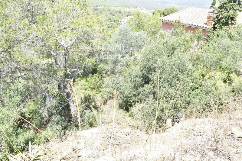 Foto 0a107e4b-b7e8-4e55-ac63-b7536f3082aa. Finca rústica a Bisbal del Penedès (La)