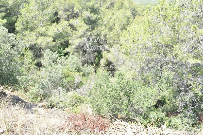 Foto 75b69df2-28c4-4e72-b463-9ba3226aa1d2. Finca rústica a Bisbal del Penedès (La)