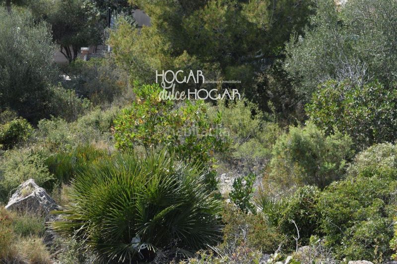 Foto f3274151-7fce-4b84-b683-89b95b50bdc3. Finca rústica a Segur de dalt Segur de Calafell