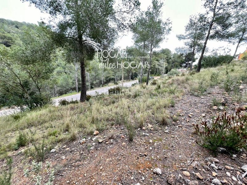 Foto f6aa7df1-e91d-45b1-899e-539a6cb4d3e6. Finca rústica a Bisbal del Penedès (La)