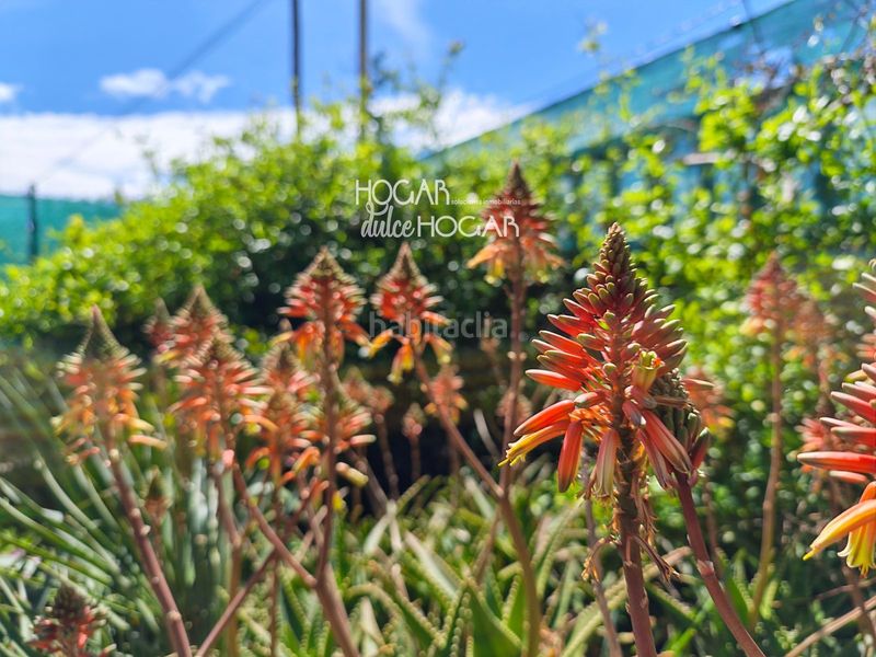 Foto 56180bd5-f7ef-463c-9d73-37fa7508a9a5. Chalet en Bellvei