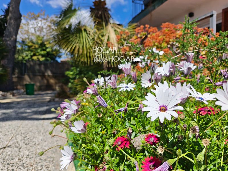 Foto 9ea43c84-753f-452a-b3e3-795b1bf0a64d. Chalet en Bellvei