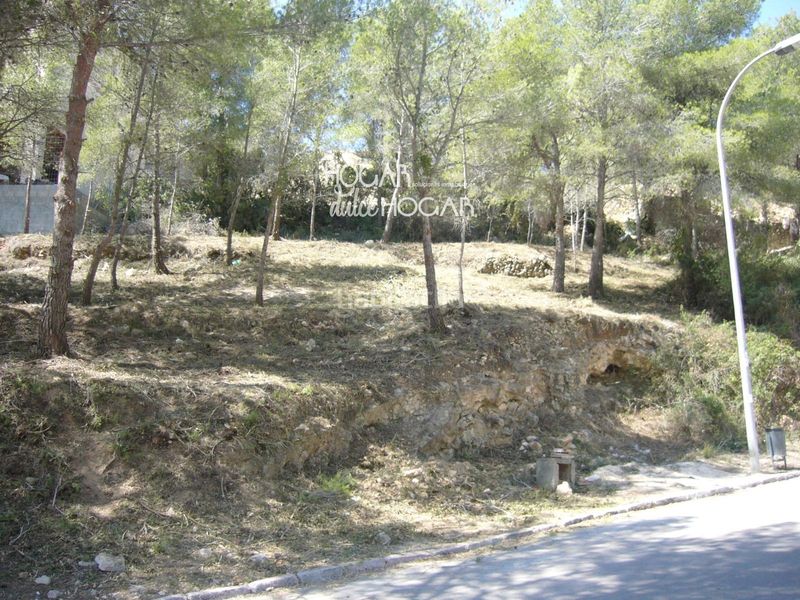 Foto 1333f436-e029-4221-966d-a3aa9841858c. Finca rústica a costa Cunit - els jardins - els rosers Cunit