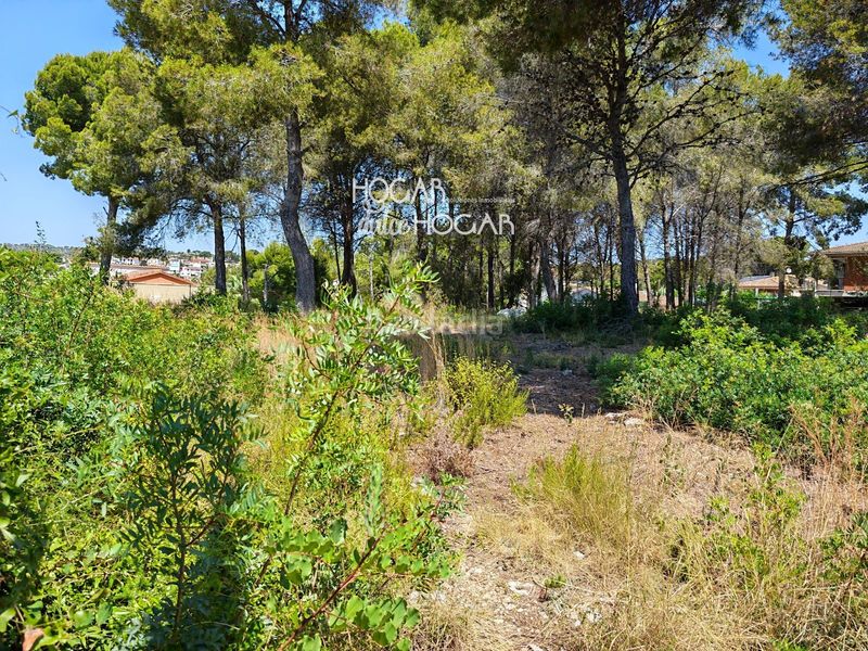 Foto 48f879f2-8121-46f2-8478-5c28bb2bef36. Finca rústica a Cunit residencial Cunit