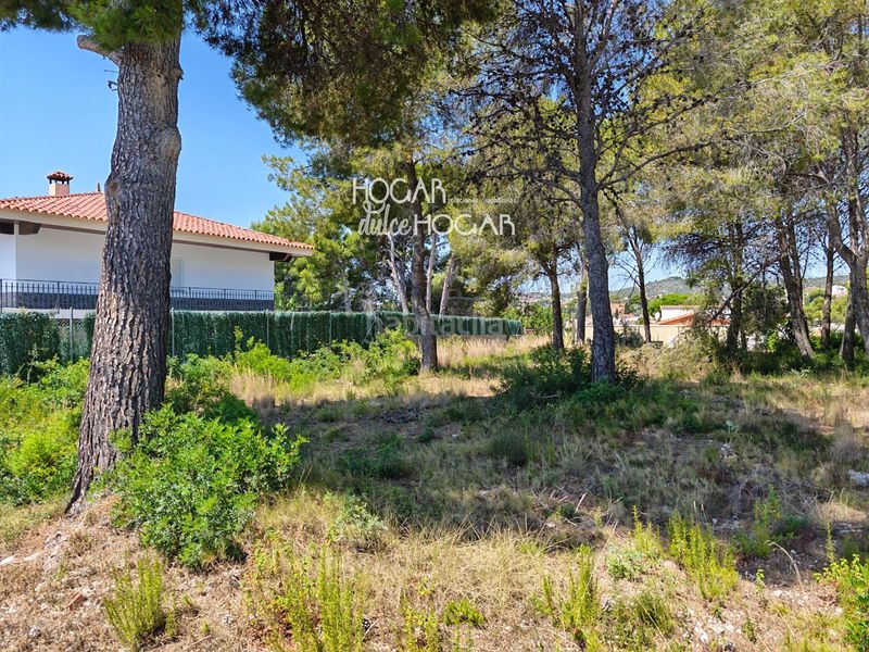 Foto 856cabe6-a322-4944-98c1-3346fa7ff963. Finca rústica a Cunit residencial Cunit