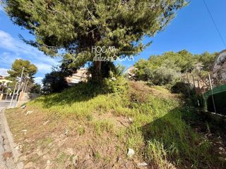 Finca rústica  Torre dels escipions. Terreno en segur de calafell estrategicamente ubicado!!!