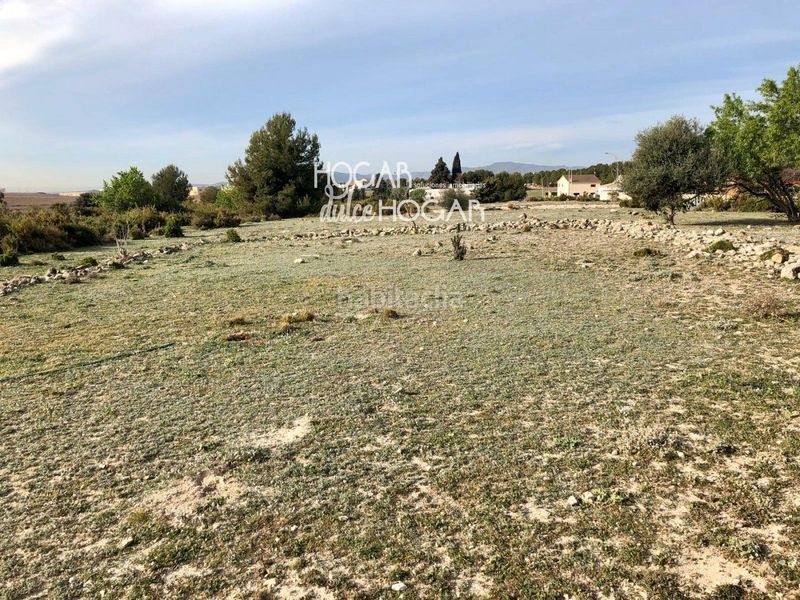Foto 04903912-9589-4590-8550-ba1d74680c65. Finca rústica a Sant Jaume dels Domenys